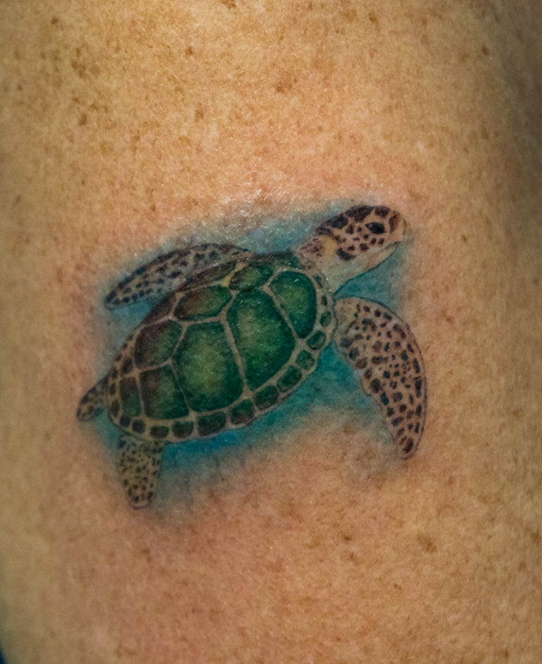 tribute to family, cartoon color turtle tattoo - endless heights tattoo by artist dj donald voelker